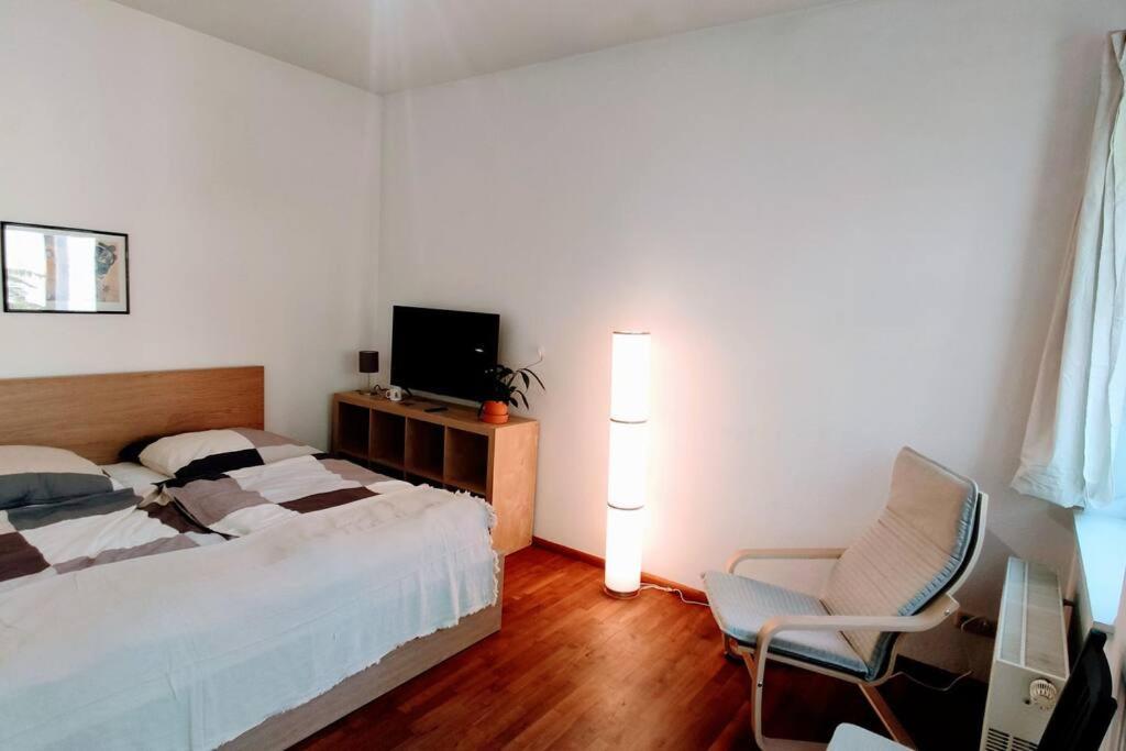 Modern Studio08 With Big Balcony In The Neustadt Дрезден Екстериор снимка
